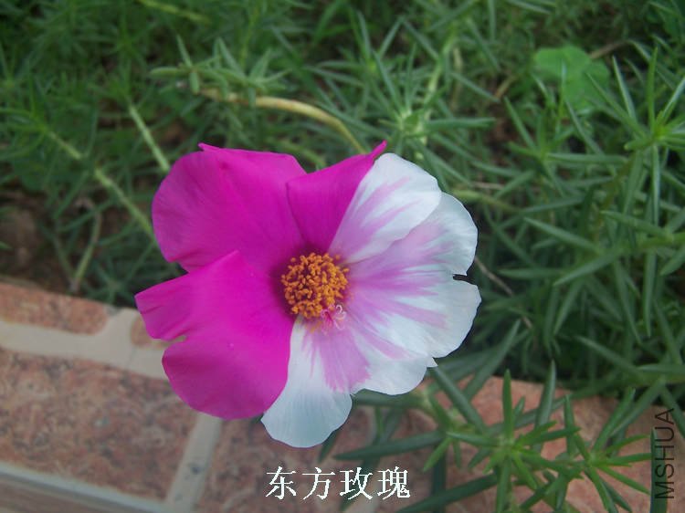 100_4678.jpg