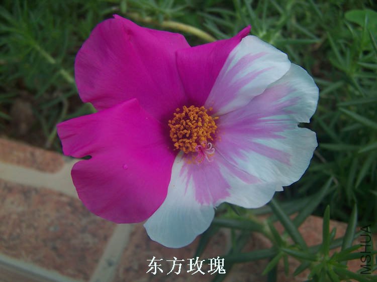 100_4679.jpg