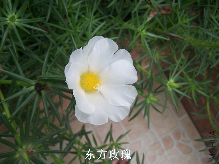 100_4813.jpg
