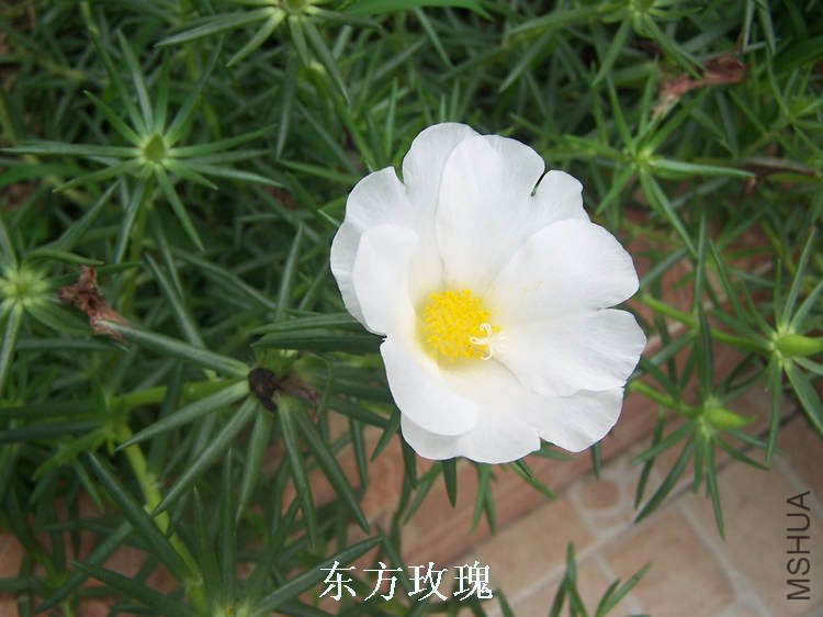 100_4812.jpg