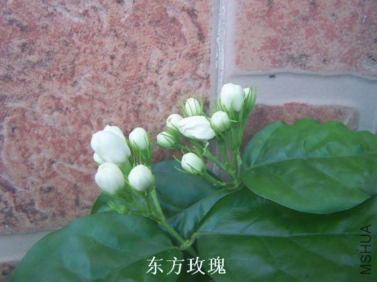 100_4686.jpg