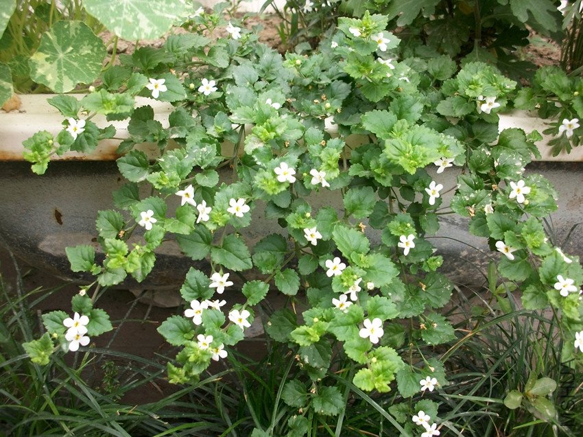 �������ڴ�����С�ٲ�