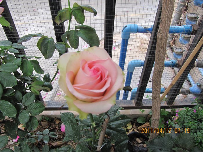 IMG_0899.jpg