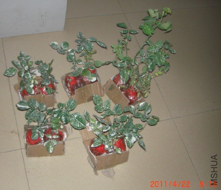 ���յ�������״̬����������Ŷ