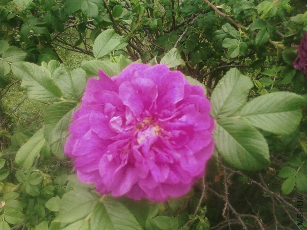 PIC-0113.jpg