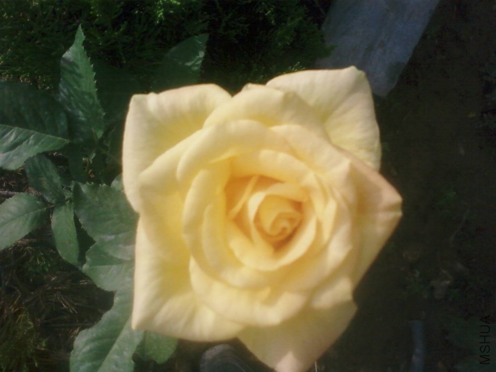 PIC-0167.jpg