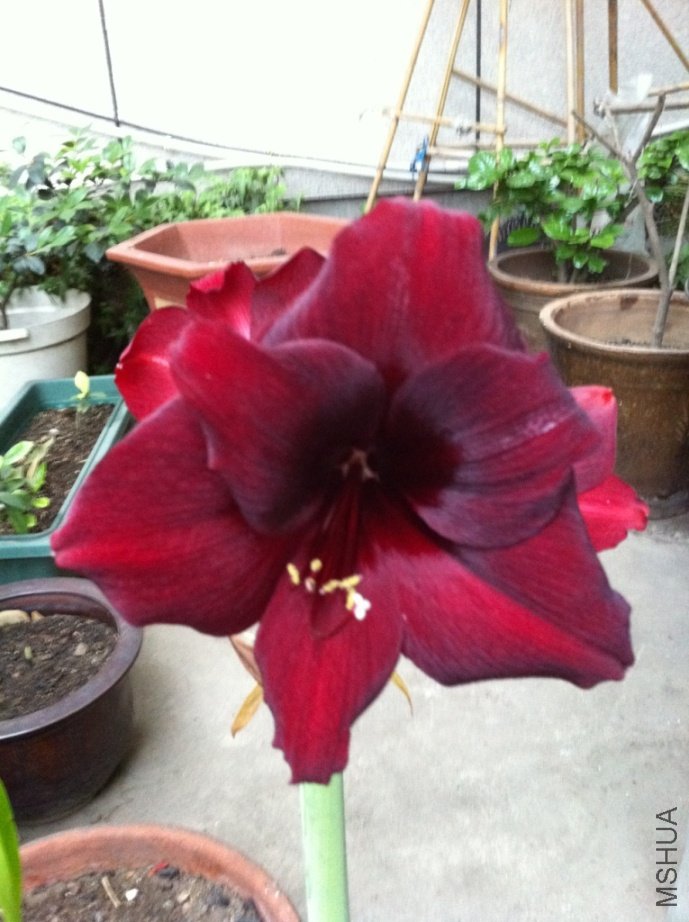 ����Ļ���ȸ1