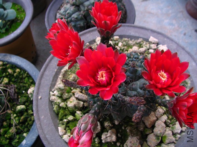 2011.05.17.������Ļ� 045.jpg