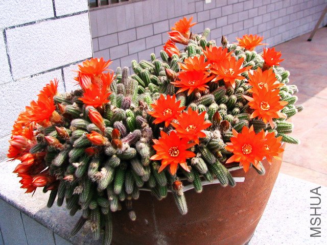 2011.05.14.������Ͱ˸� 002.jpg