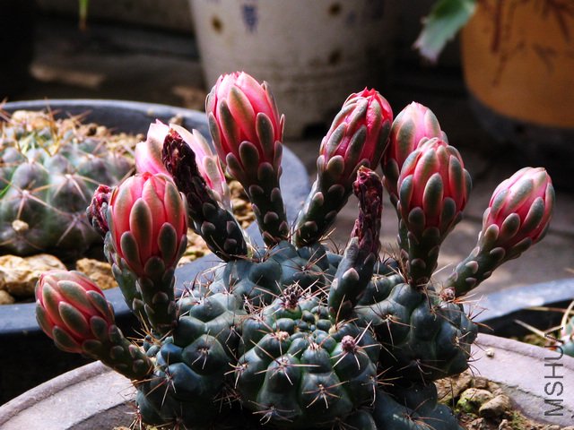 2011.05.14.������Ͱ˸� 019.jpg