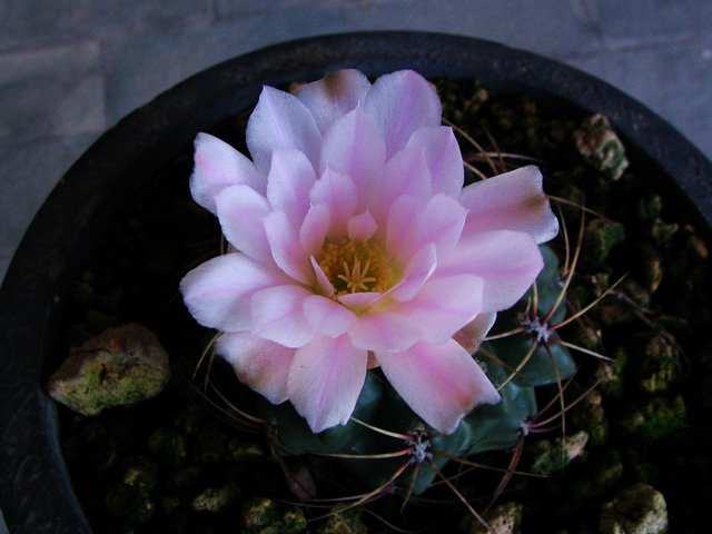 2011.05.18.������Ļ� 007.jpg