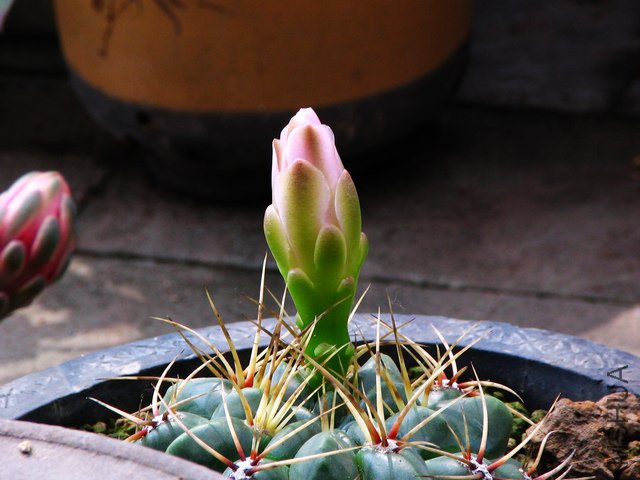 2011.05.14.������Ͱ˸� 016.jpg