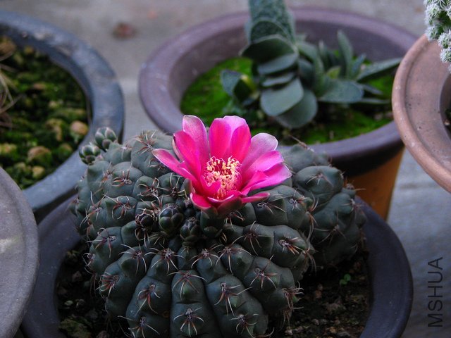 2011.05.17.������Ļ� 037.jpg