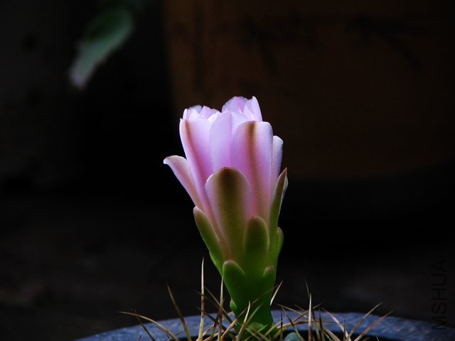 2011.05.17.������Ļ� 021.jpg