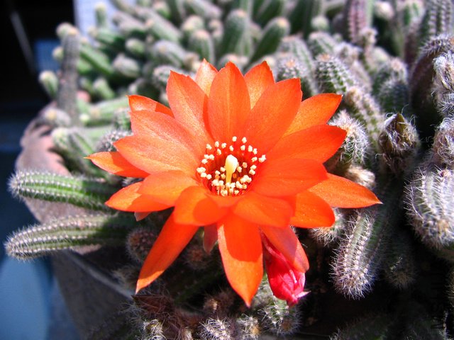 2011.05.10.�˸� 008.jpg