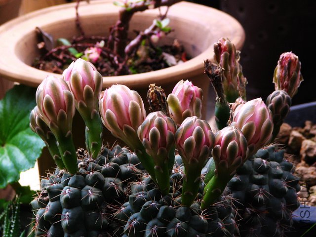 2011.05.14.������Ͱ˸� 020.jpg