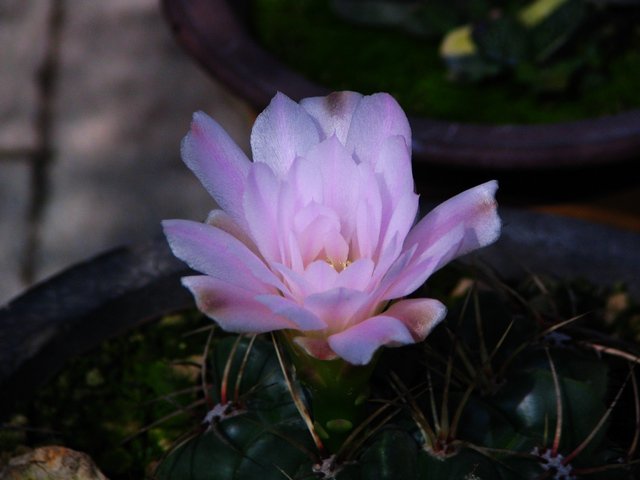 2011.05.18.������Ļ� 041.jpg