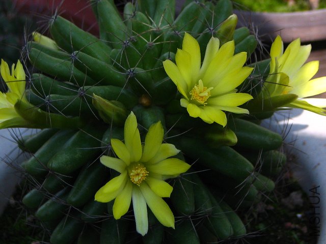 2011.05.21.������ 011.jpg