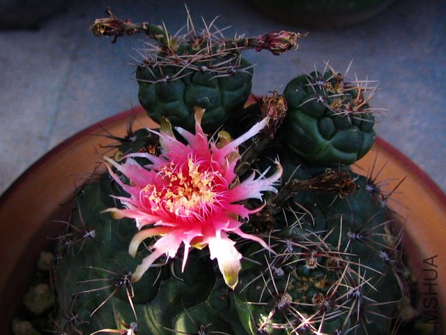 2011.05.21.������ 016.jpg