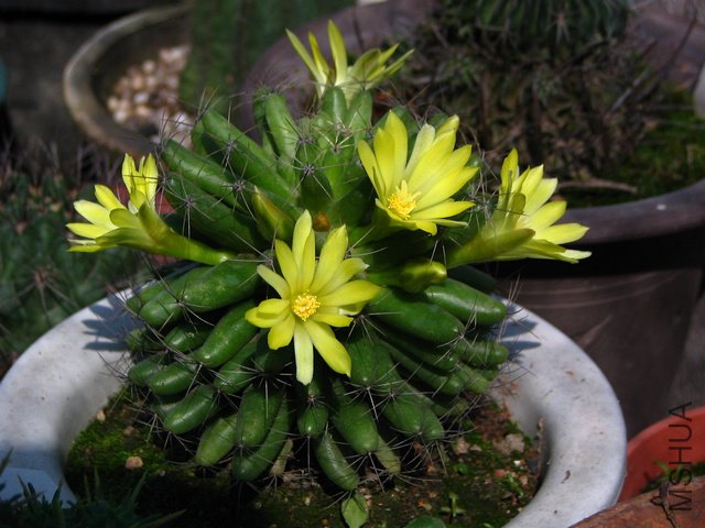 2011.05.21.������ 013.jpg