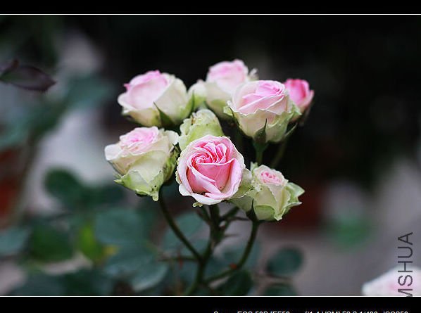 nEO_IMG_IMG_4786.jpg