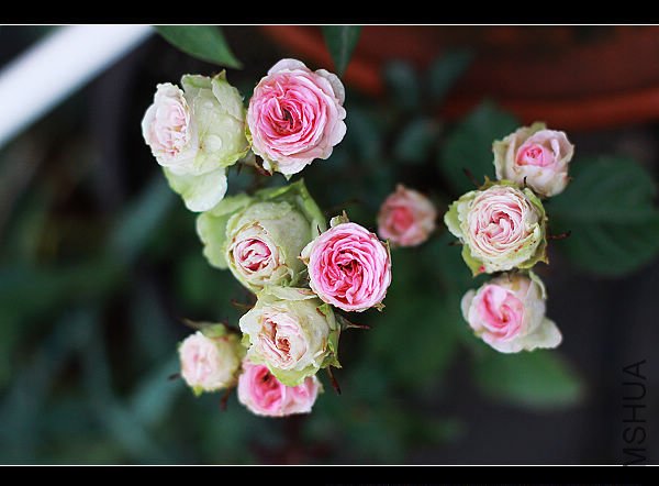nEO_IMG_IMG_4840.jpg