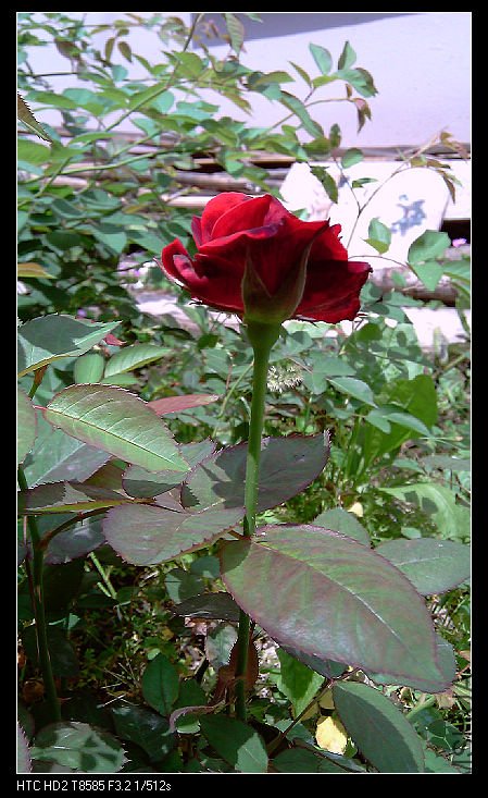 IMAG1073.jpg