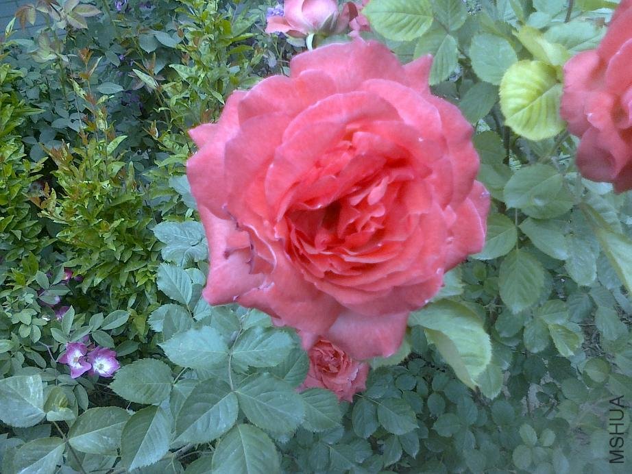 20110520773.jpg