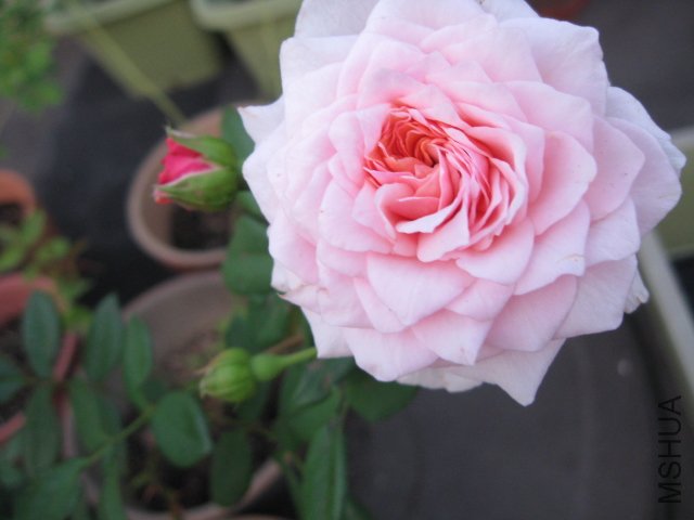��Ƭ 003.jpg