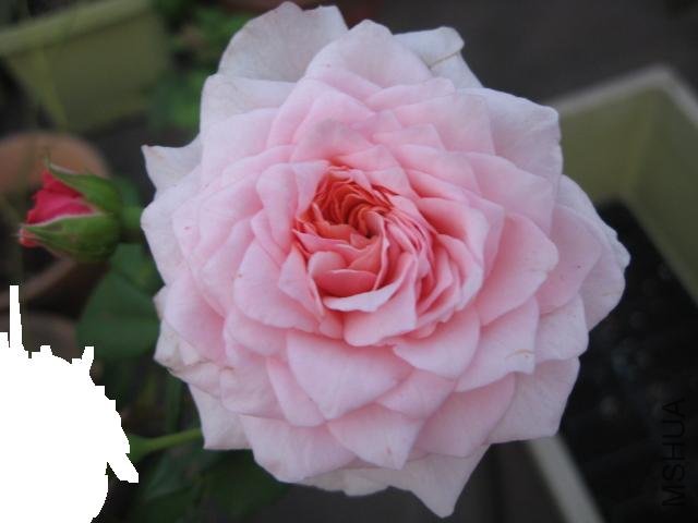 ��Ƭ 004.jpg