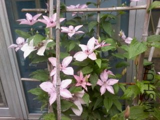 ��Ƭ0180.jpg