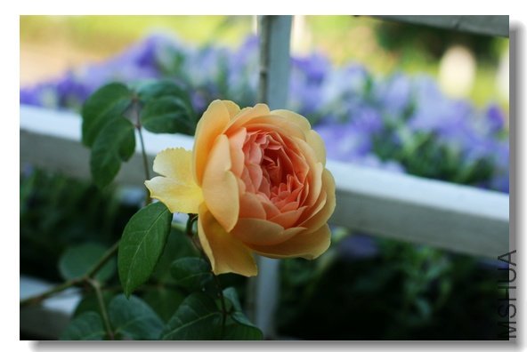 201104 010.jpg