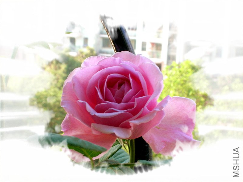dscn2135_����.jpg