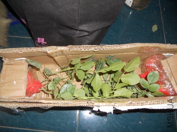 ���յ�������