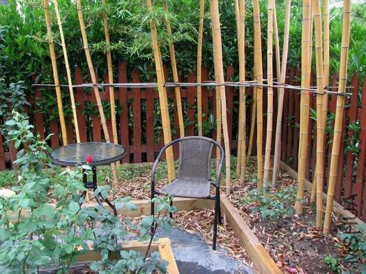 ������С ������С �����ع� IMG_1821.jpg