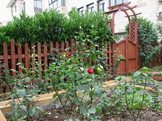 ������С ������С �����ع� IMG_1823.jpg