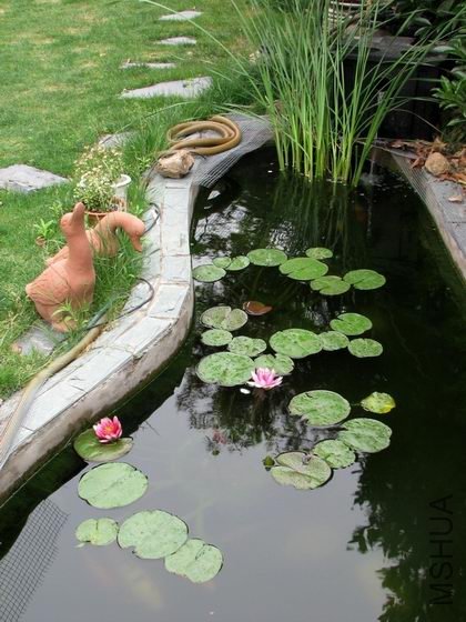 ������С ������С �����ع� IMG_1830.jpg