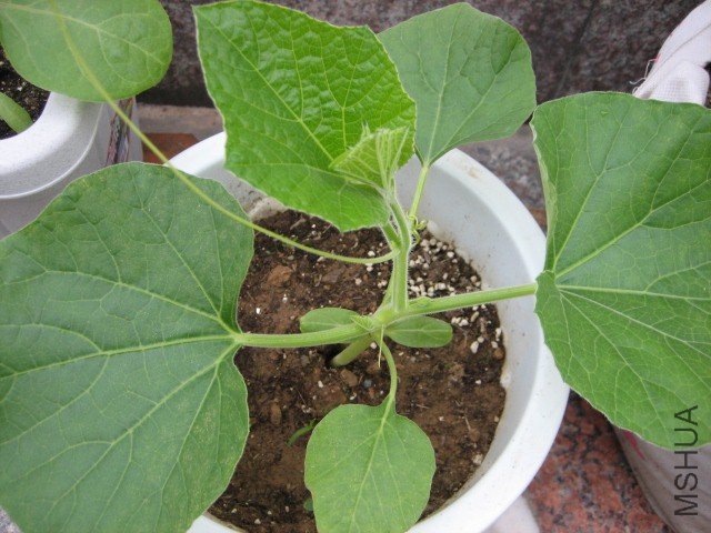 IMG_5007 (640x480).jpg