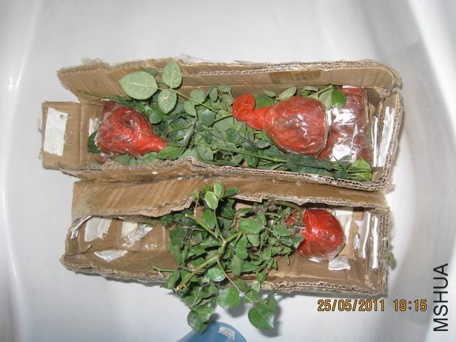 ������С ������.jpg