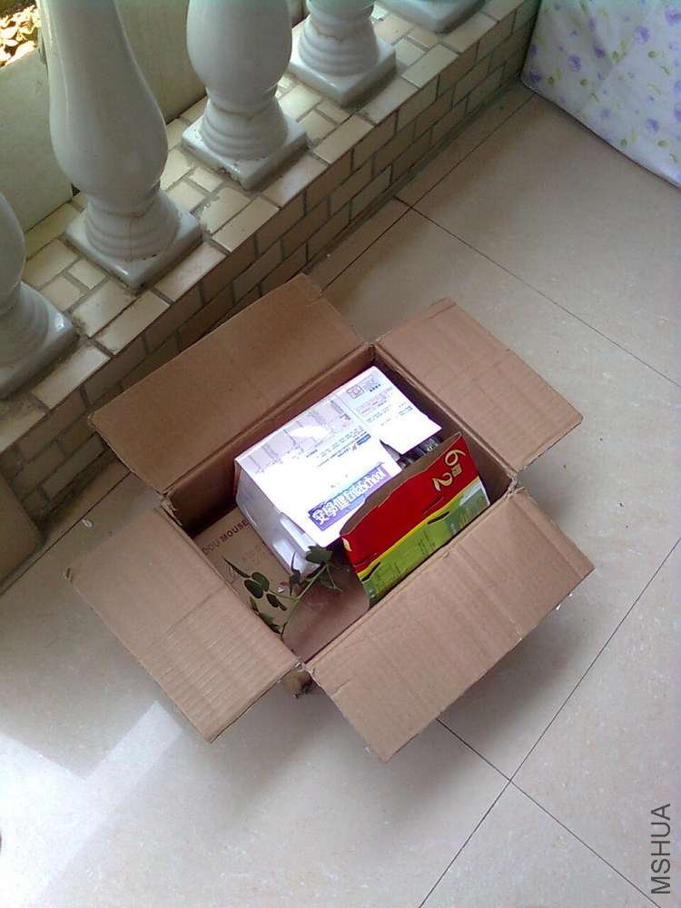 ͼ��0696.jpg