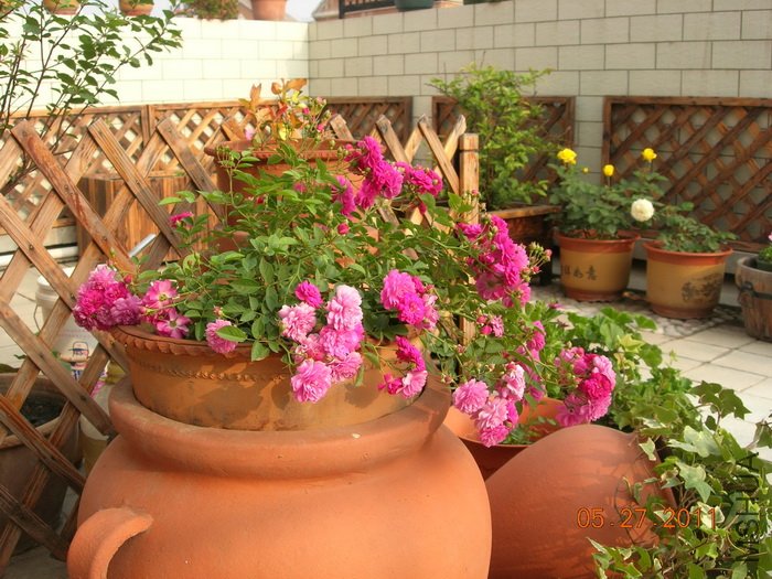 DSCN3877.jpg