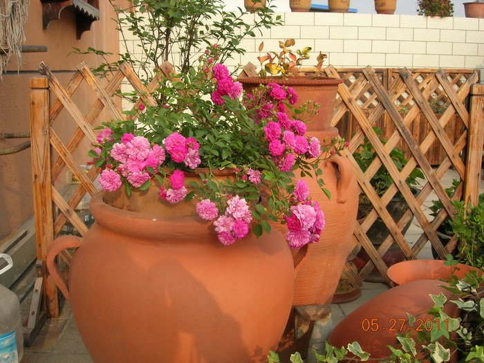DSCN3874.jpg