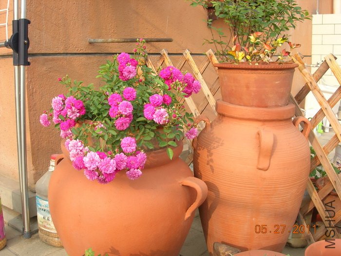 DSCN3875.jpg