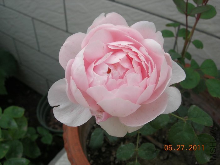 DSCN3879.jpg