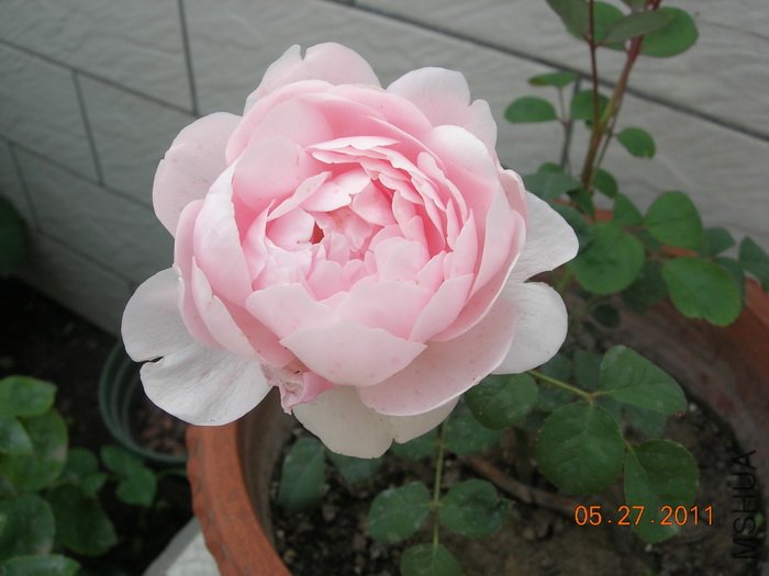 DSCN3880.jpg