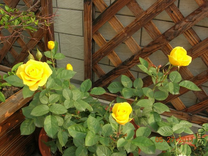 DSCN3882.jpg