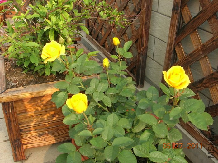 DSCN3883.jpg