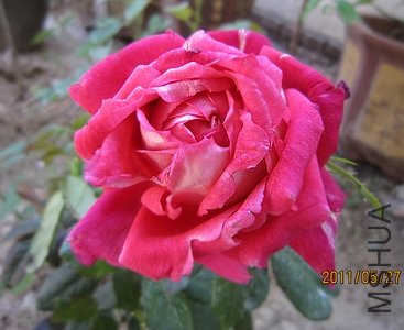 IMG_1348.jpg