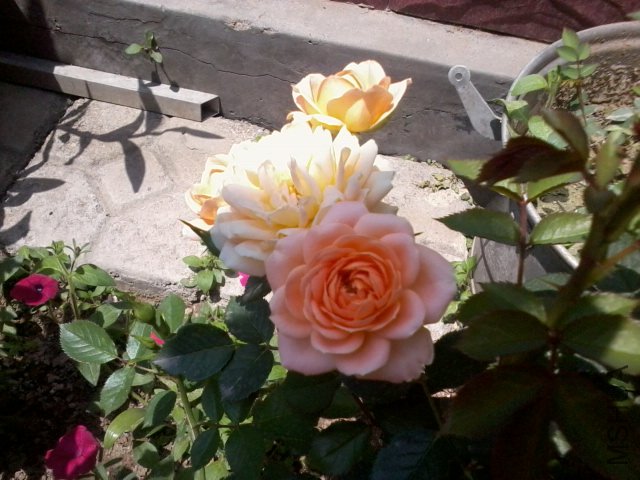 ��Ƭ0205.jpg