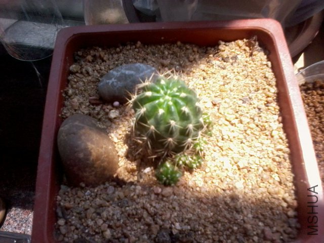 ��Ƭ0211.jpg